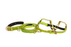 XSmall- 7”-14” Collars Small Dogs