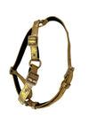Glam Gold Embossed Studded Italian Leather Harness
