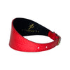 Red/Orange Snake Classic Wide Style Collar