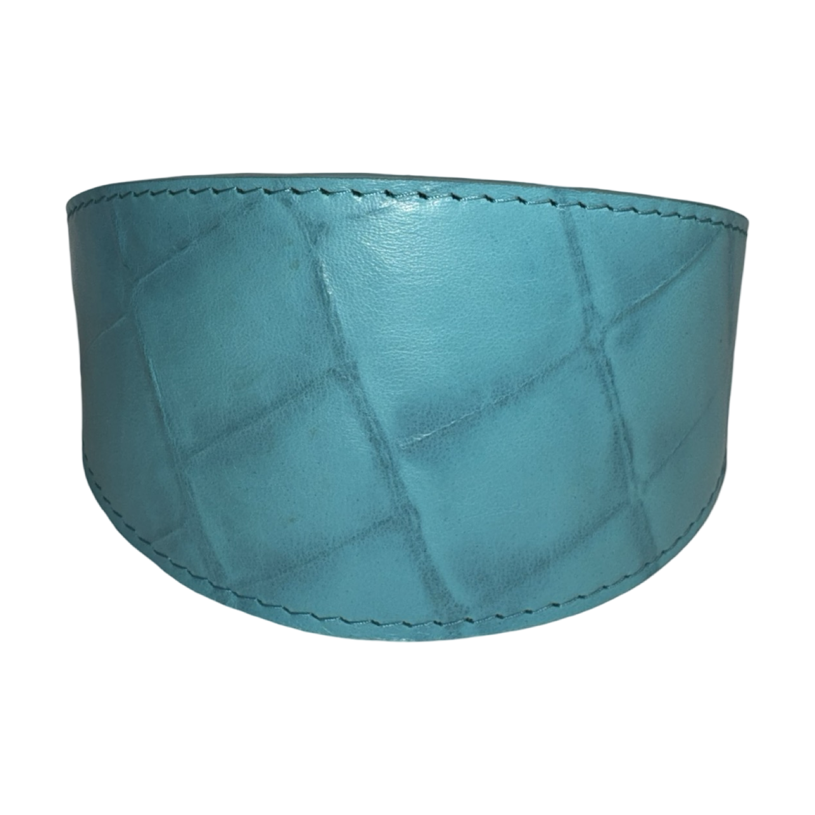 The Tiffany Collection. Gorgeous Turquoise Blue Embossed Croc Italian Leather 3” Wide Style Collar, With Silver Hardware