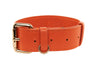 Small Orange Italian Leather Classic Collar