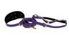 Purple Italian Leather 3” Wide Style Collar, With Custom Large Gold Rivet, Leash & Harness Set