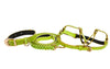 XS Light Neon Green Snake Collar Leash, Harness Set