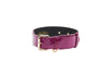 Purple Patent Italian Leather/Classic Hardware Collar