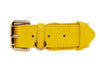 Yellow Italian Leather Classic Collar/Gold Classic Hardware
