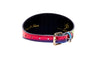 Pride Collection. Rainbow Snake 3” Wide Style Collar