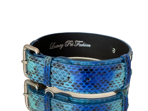 Luxury Pet Fashion Baby Blue/Blue/Bronze 3” Wide Snake Collar - Allysa  Payne Beverly Hills