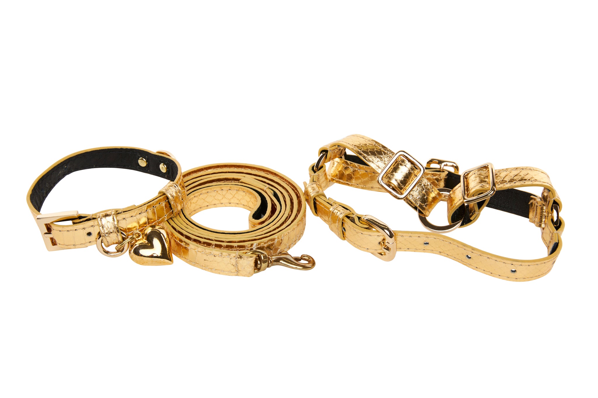 XS Gold Viper Snake Collar, Leash, Harness Set