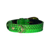 XS/S 7”-14” Neon Green Custom Snake Collar/Custom Gold Oval Italian Hardware & Swarovski Crystal Charm