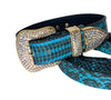 Turquoise & Black Swarovski Crystal Hardware Snake Collar & Leash Set