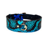 Electric/Turquoise Blue & Black Snake Classic Collar With Gold Classic Hardware