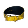 Mustard Yellow & Black Snake 3” Wide Style Collar