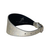 Stunning Silver Snake 3” Wide Style Collar With Silver Hardware
