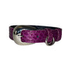 XS/S 7”-14” Purple Custom Snake Collar/Custom Silver Oval Italian Hardware