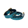 Turquoise & Black Swarovski Crystal Hardware Snake Collar & Leash Set