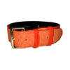 The Perfect Orange Classic Collar