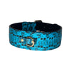 Turquoise & Black Classic Snake Collar With Gold Hardware