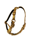 Glam Gold Embossed Studded Italian Leather Harness