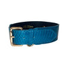 Dark Turquoise Classic Style Snake Collar With Classic Gold Hardware