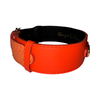 The Perfect Orange Classic Collar