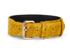 Mustard Yellow & Black Snake Classic Collar