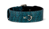 Teal and Black Snake Classic Collar