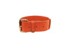 Orange Italian Leather Classic Collar