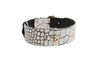 Dark Brown/Off White Embossed Croc Italian Leather Classic Collar With Gold Classic Hardware