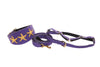Purple Italian Leather 3” Wide Style Collar, With Custom Gold Starfish, Leash & Harness Set