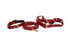 XS Red Viper Snake Collar, Leash, Harness Set