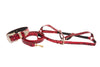 XL Red & Black Snake, Swarovski Crystal Collar Leash Harness Set