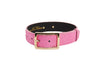 Luxury Pet Fashion Neon Pink Snake Collar With Our  Modern Gold Hardware