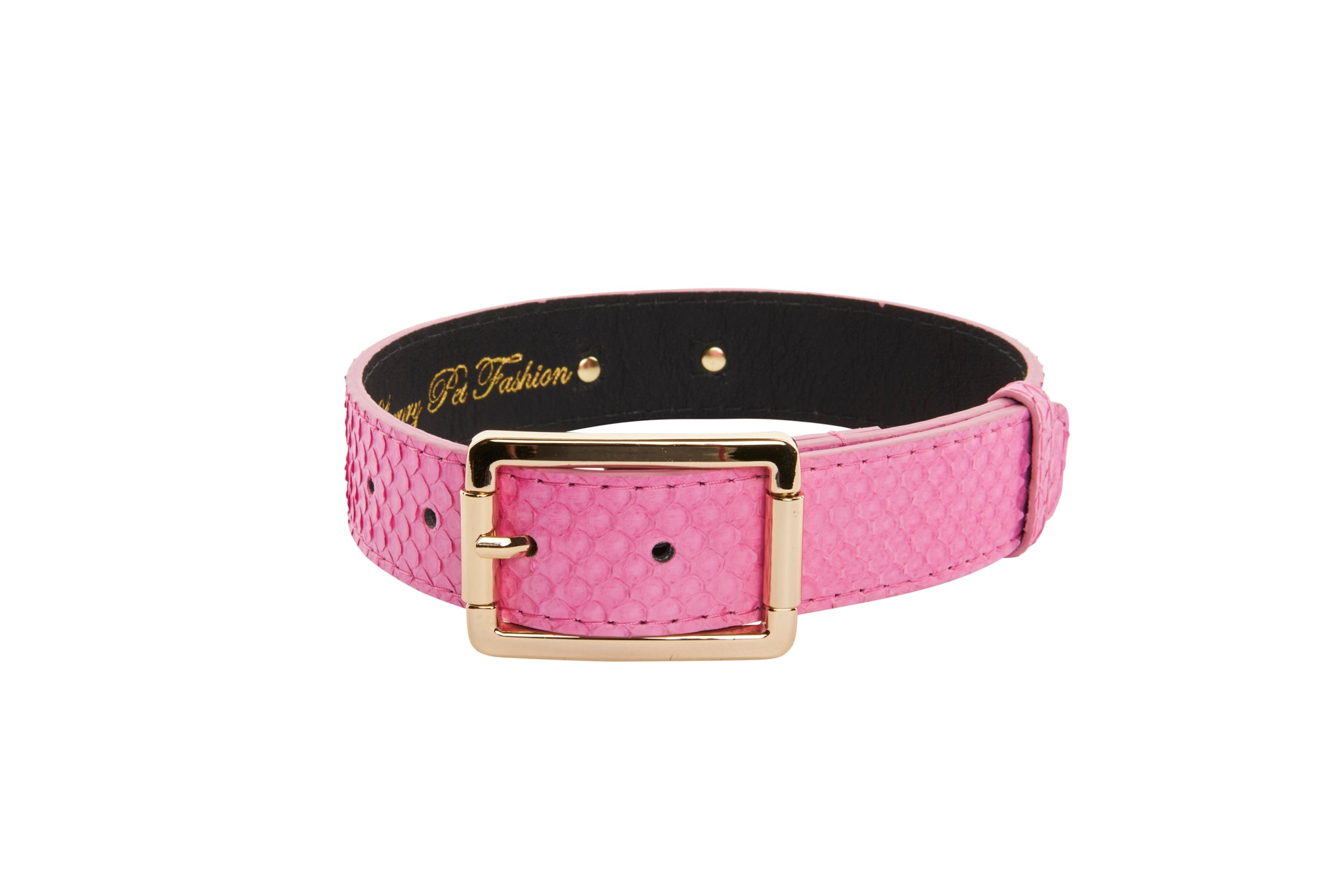 Luxury Pet Fashion Neon Pink Snake Collar With Our Modern Gold Hardwar -  Allysa Payne Beverly Hills