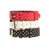 Red/Gold Polka Dot, White/Gold Polka Dot & Black/Gold Polka Dot Italian Leather Classic Collars