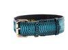 Turquoise, Black Snake Classic Collar With Gold Classic Hardware