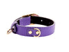 XS Purple Italian Leather With Vintage Inspired Gold Hardware