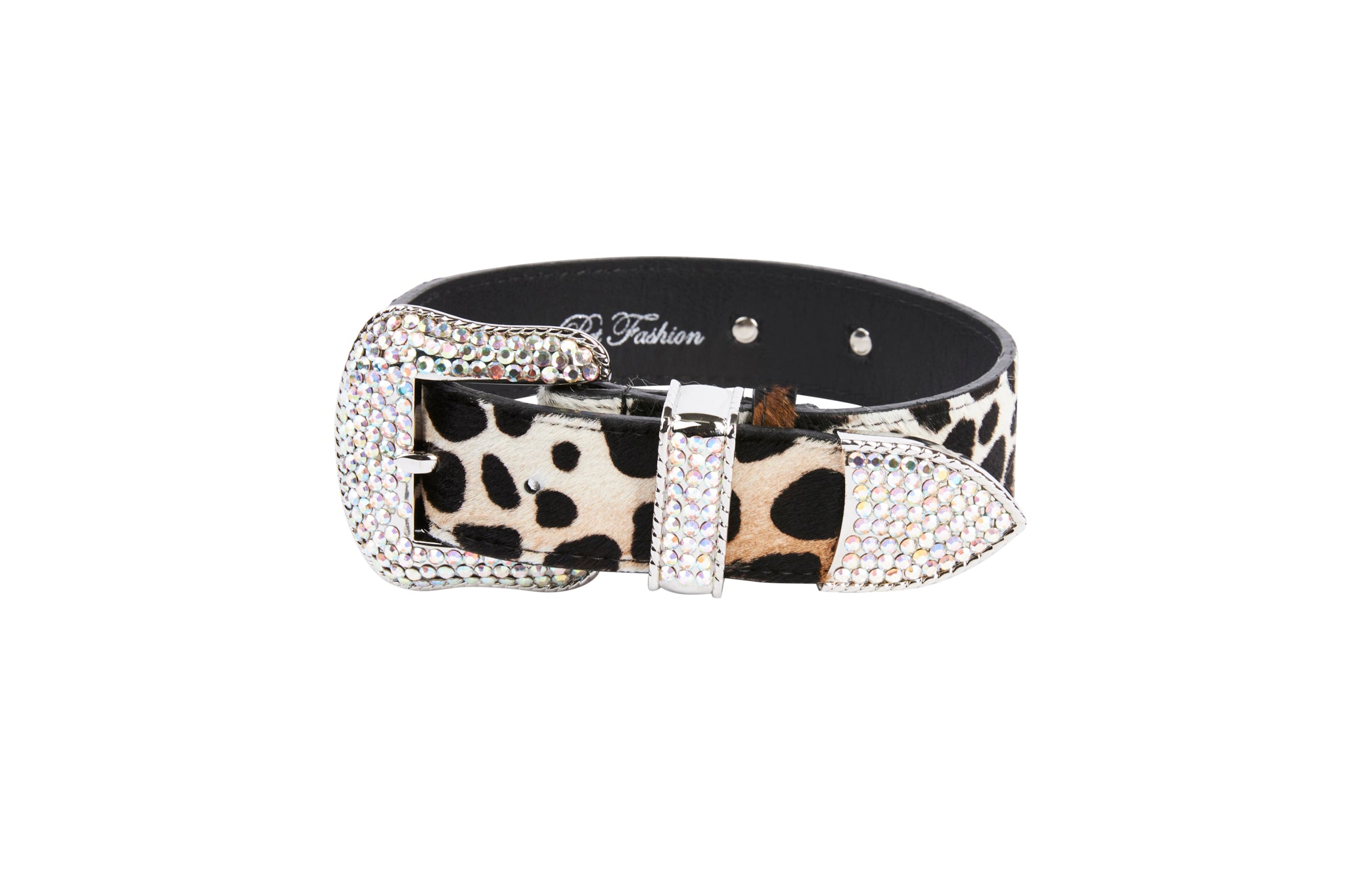 Luxury Pet Fashion Olive Snakeskin Collar & Leash Set - Allysa Payne  Beverly Hills