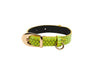 XS Neon Green Snake Collar With Gold Vintage Inspired Hardware