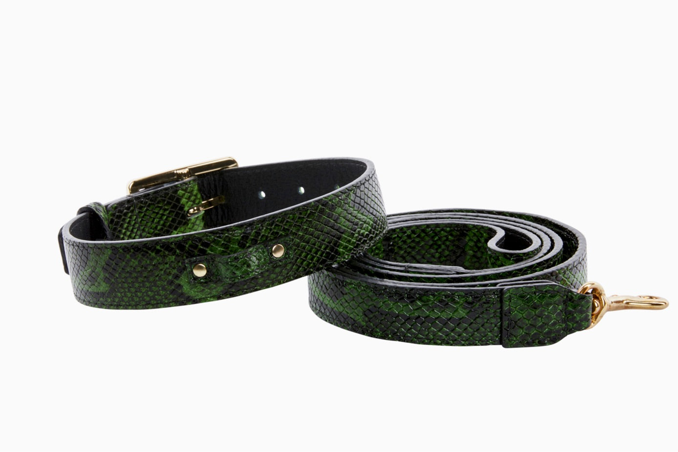 Luxury Pet Fashion Olive Snakeskin Collar & Leash Set - Allysa Payne  Beverly Hills