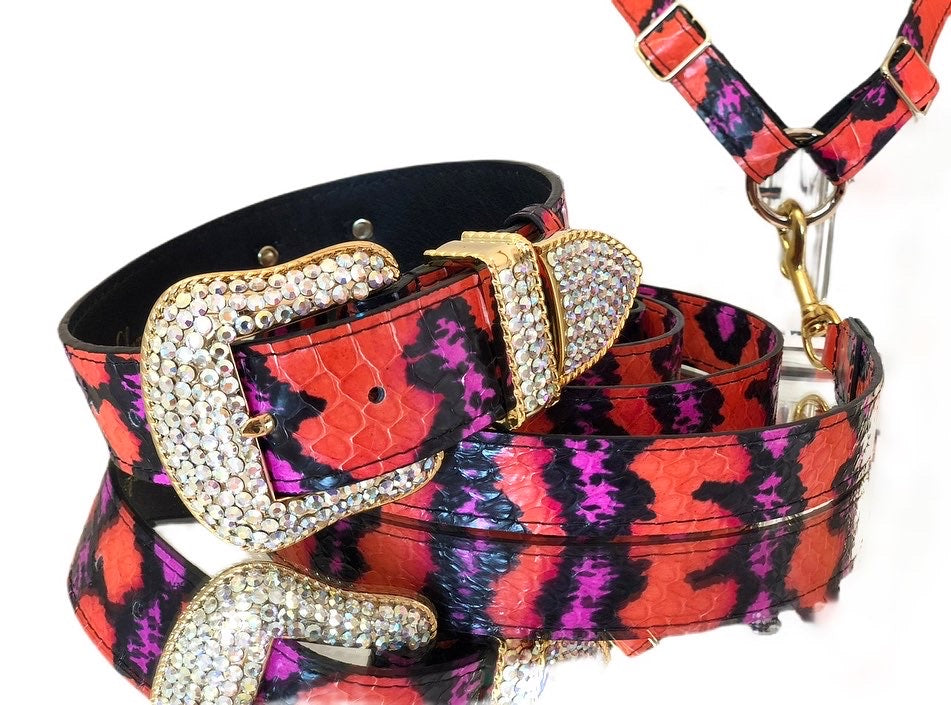 Pupsace Luxury Inspired Versace Collar Harness & Leash Set