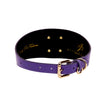 Purple Italian Leather 3” Wide Style Collar With Large Gold Custom Rivet