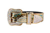 Scottsdale Collection Snake Swarovski Crystal Hardware Collar