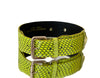 Luxury Pet Fashion Neon Green Snakeskin Collar/Classic Hardware