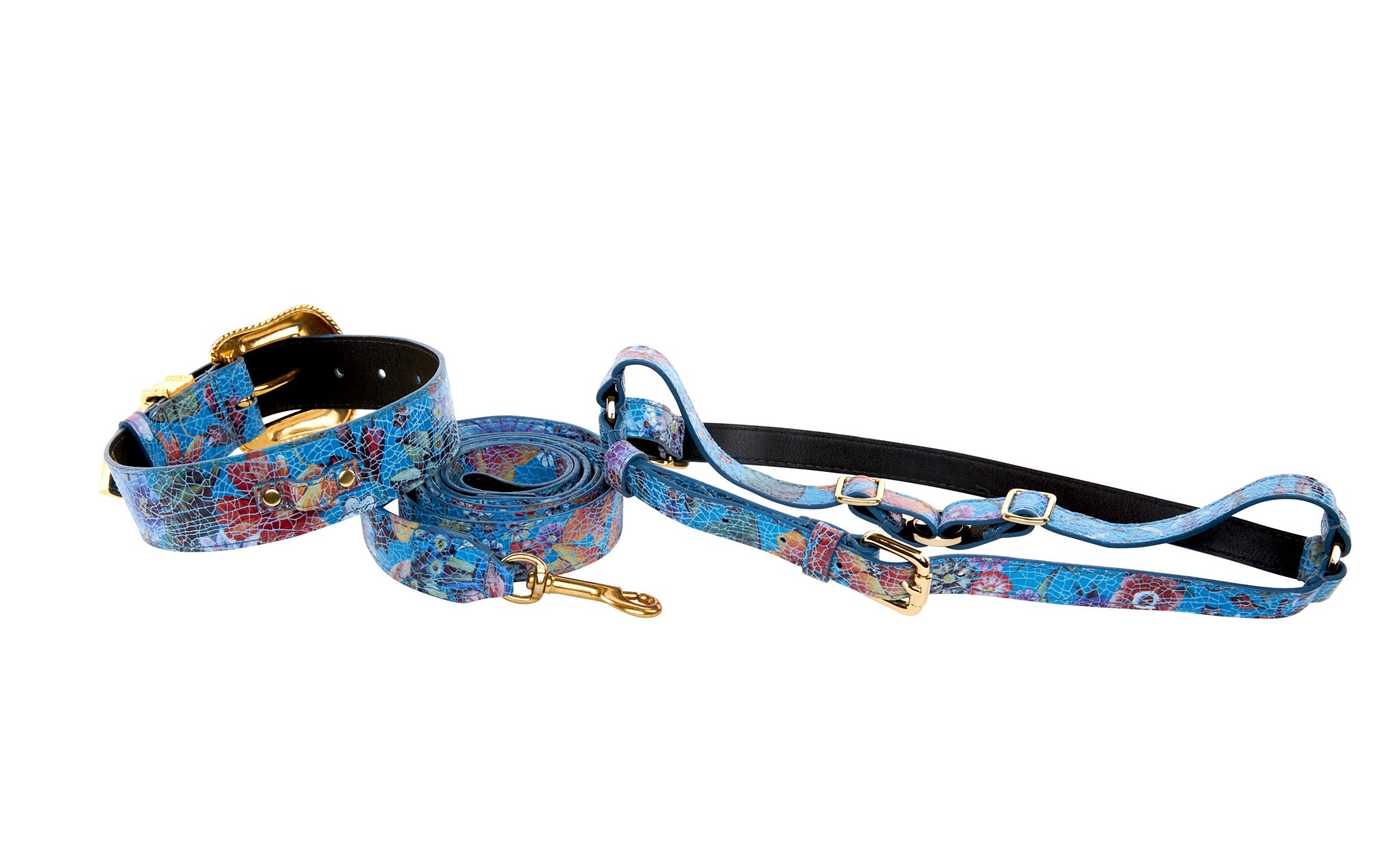 Floral Leather Collar & Leash